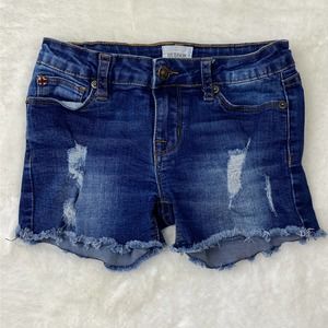 Hudson Kids Destructed Cut Off Shorts